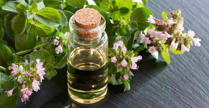 oregano-oil-pros-and-cons