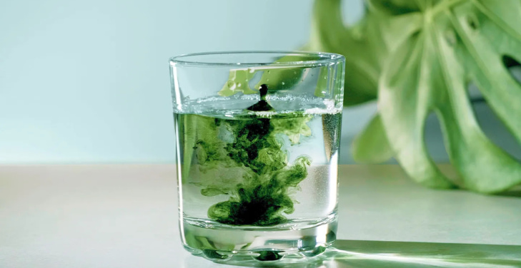 what-does-chlorophyll-do-for-the-body