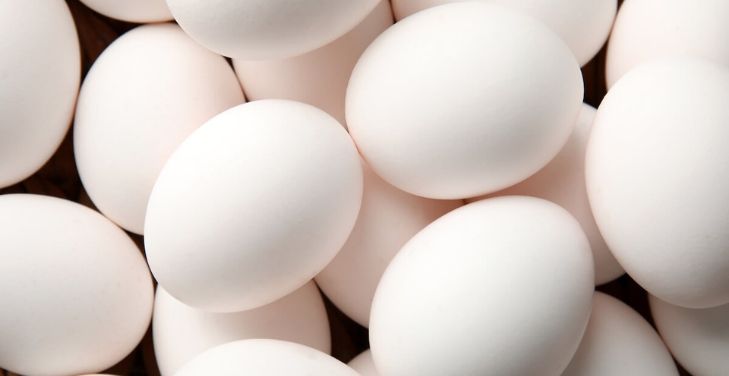 leghorn-eggs-pros-and-cons