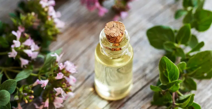 oil-of-oregano-warnings