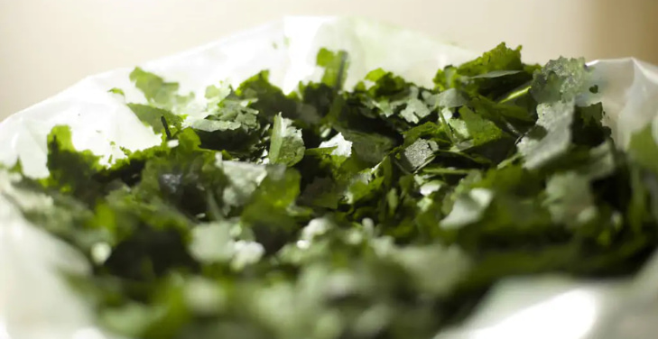 dangers-of-phytoplankton-supplements
