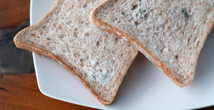 dangers-of-eating-food-with-molds
