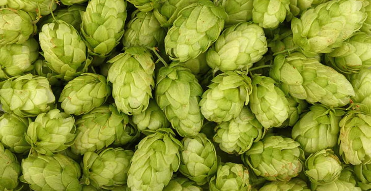 hops-pros-and-cons