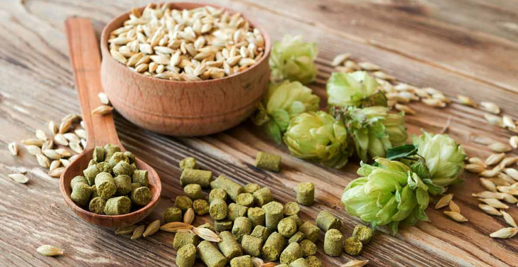 how-much-hops-per-day