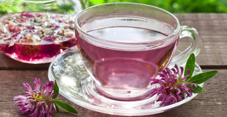 red-clover-tea red-clover-tea