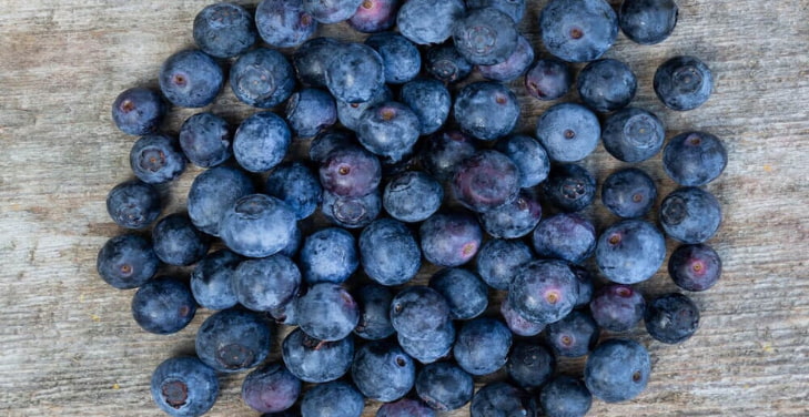 benefits-of-blueberries-for-women