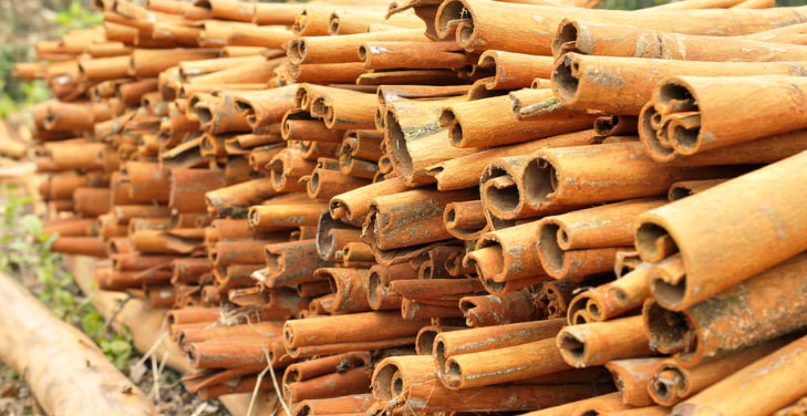 ceylon-cinnamon-dosage-per-day