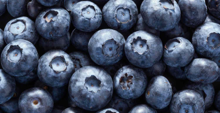 improve-brain-function-blueberry-benefits
