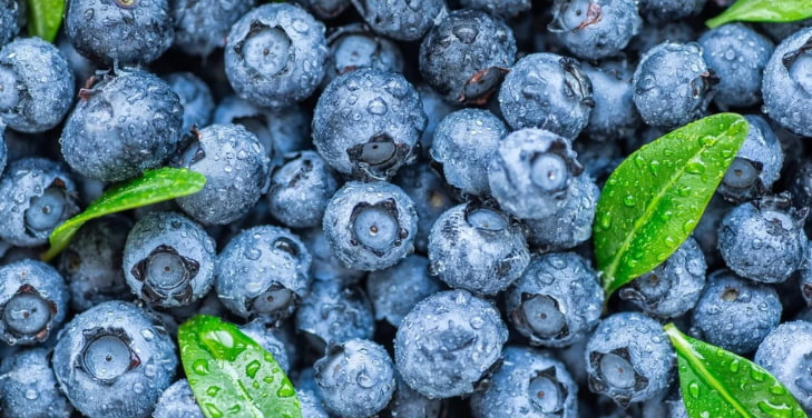 promote-digestion-blueberry-benefit promote-digestion-blueberry-benefit