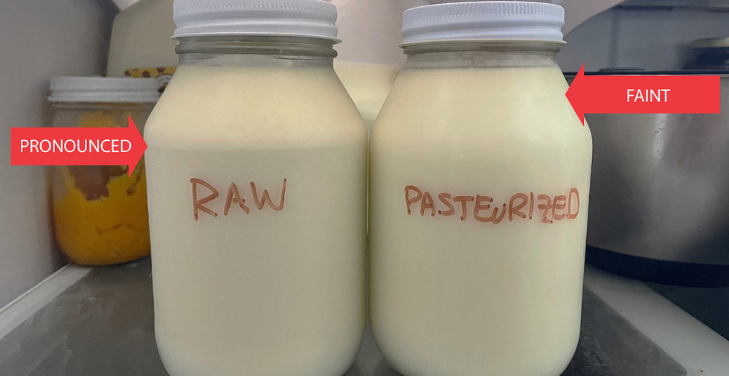 raw-milk-vs-pasteurized-milk