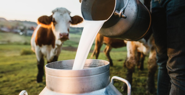 what-is-raw-milk