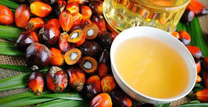 dangers-of-palm-kernel-oil-side-effects dangers-of-palm-kernel-oil-side-effects