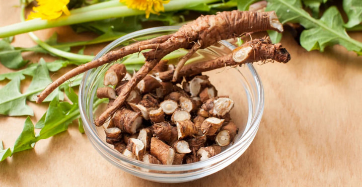how-much-dandelion-root-per-day