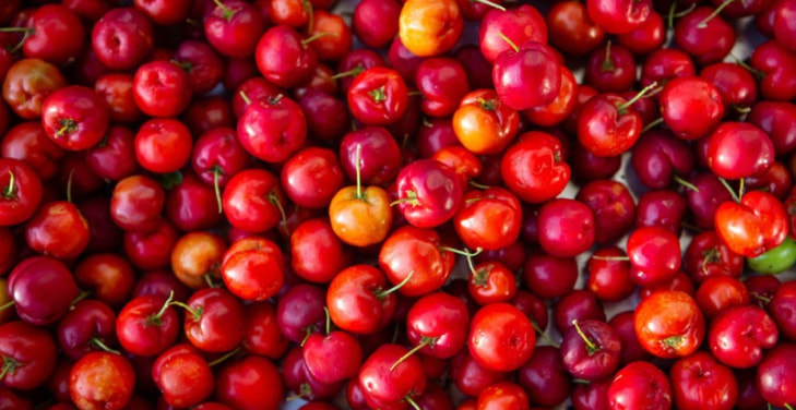 dangers-of-acerola